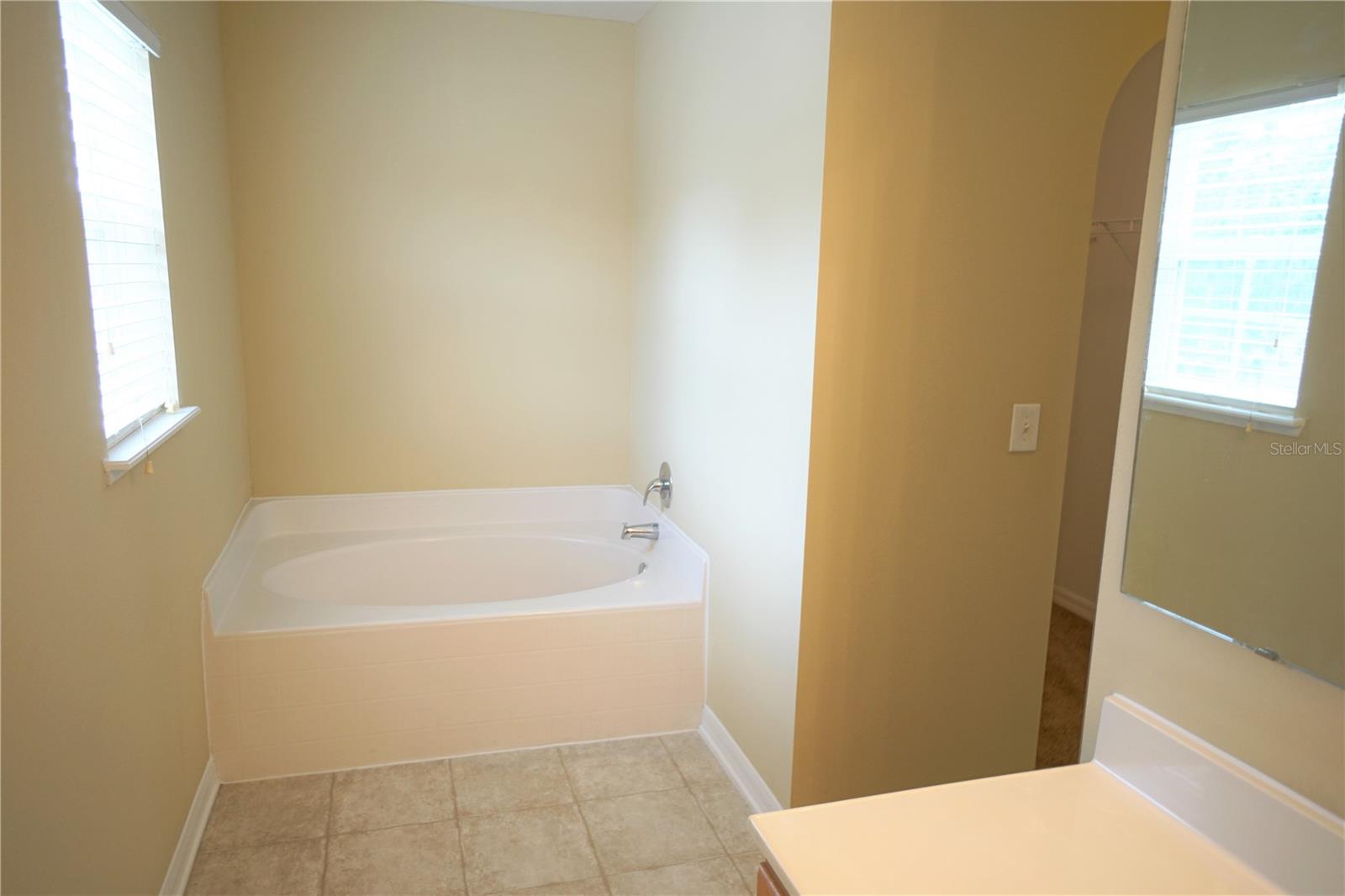 10427 RIVER BREAM DR, RIVERVIEW, FL, 33569