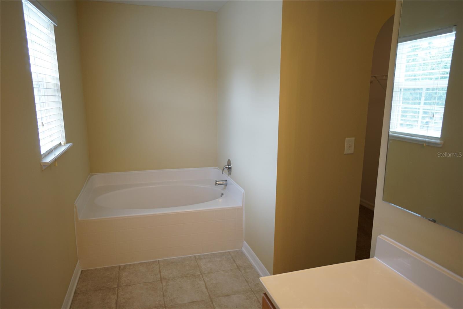 10427 RIVER BREAM DR, RIVERVIEW, FL, 33569