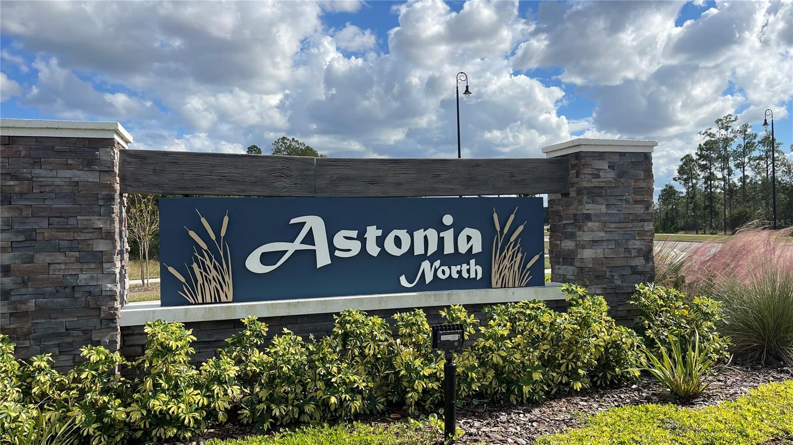 153 ADVENTURE AVE, DAVENPORT, FL, 33837