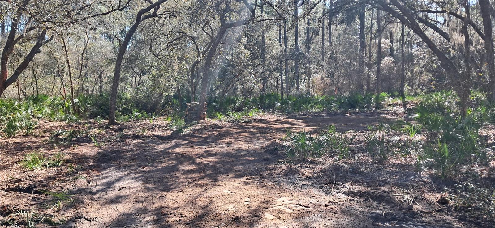 119 GARDENIA AVE, GEORGETOWN, FL, 32139