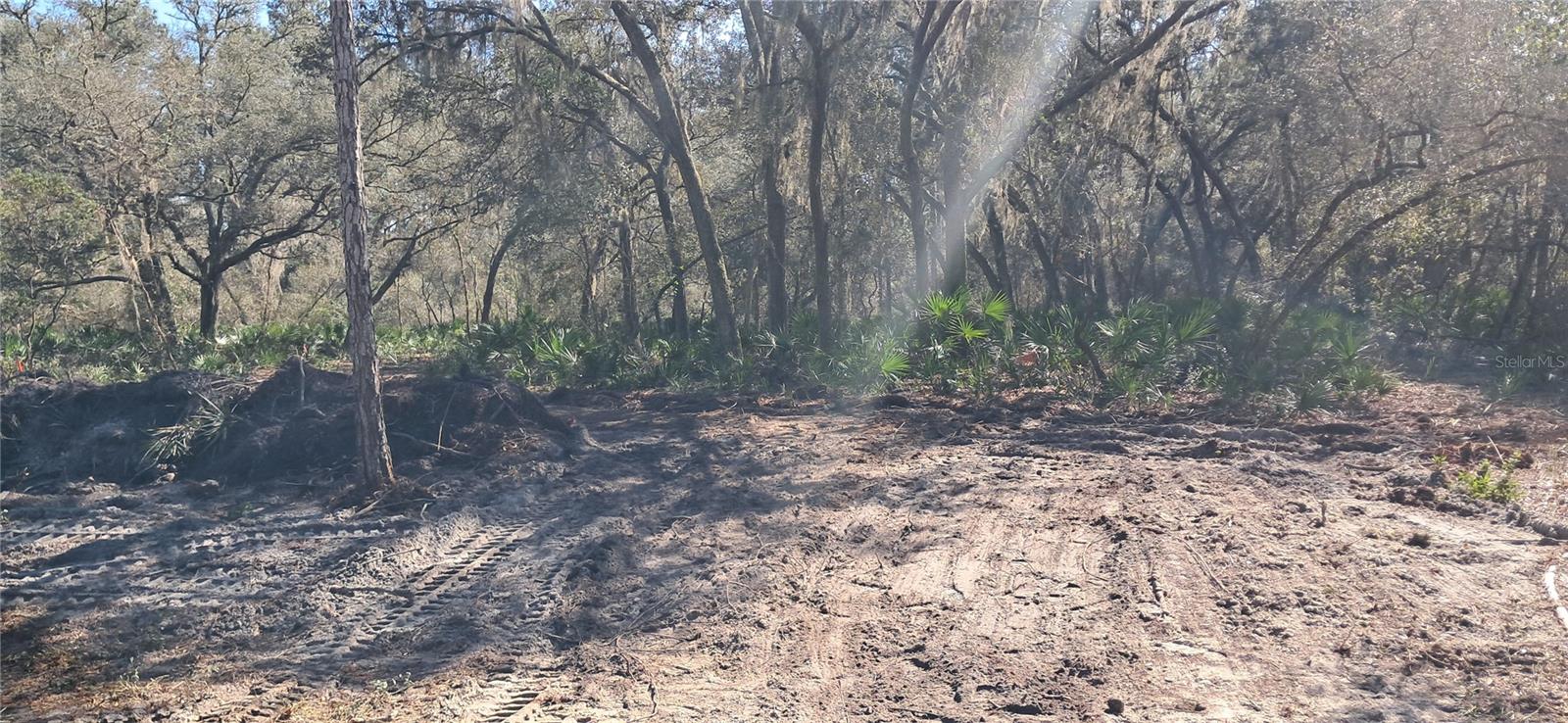 119 GARDENIA AVE, GEORGETOWN, FL, 32139