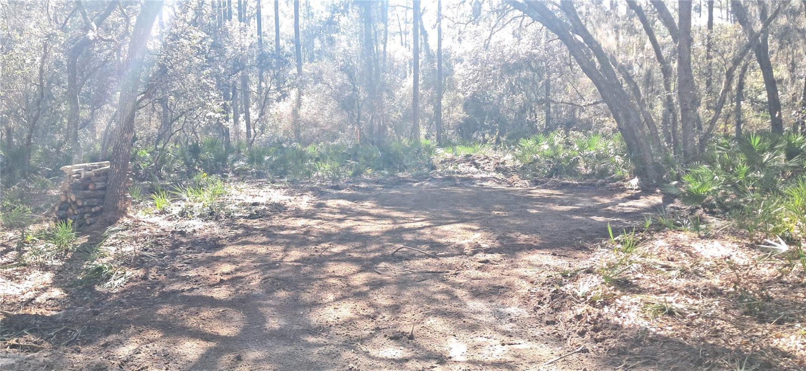 119 GARDENIA AVE, GEORGETOWN, FL, 32139