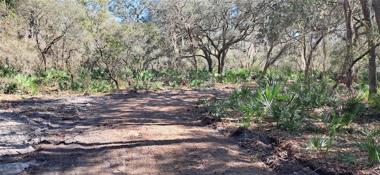 119 GARDENIA AVE, GEORGETOWN, FL, 32139