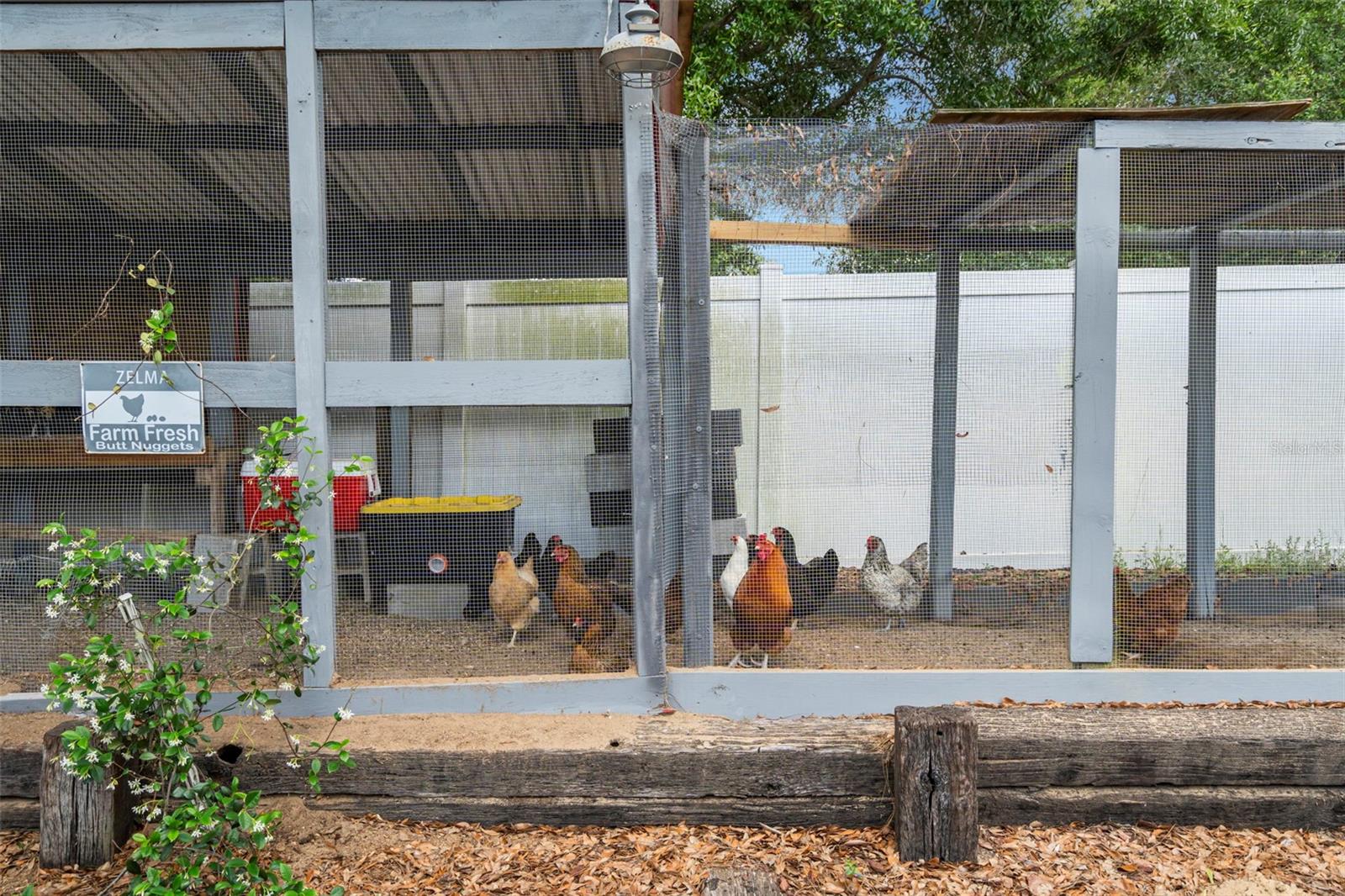 6702 JOSIE DR, SEFFNER, FL, 33584