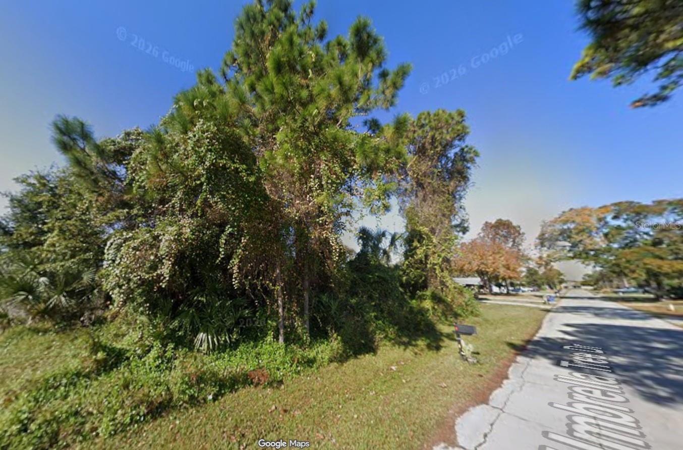 1328 UMBRELLA TREE DR, EDGEWATER, FL, 32132