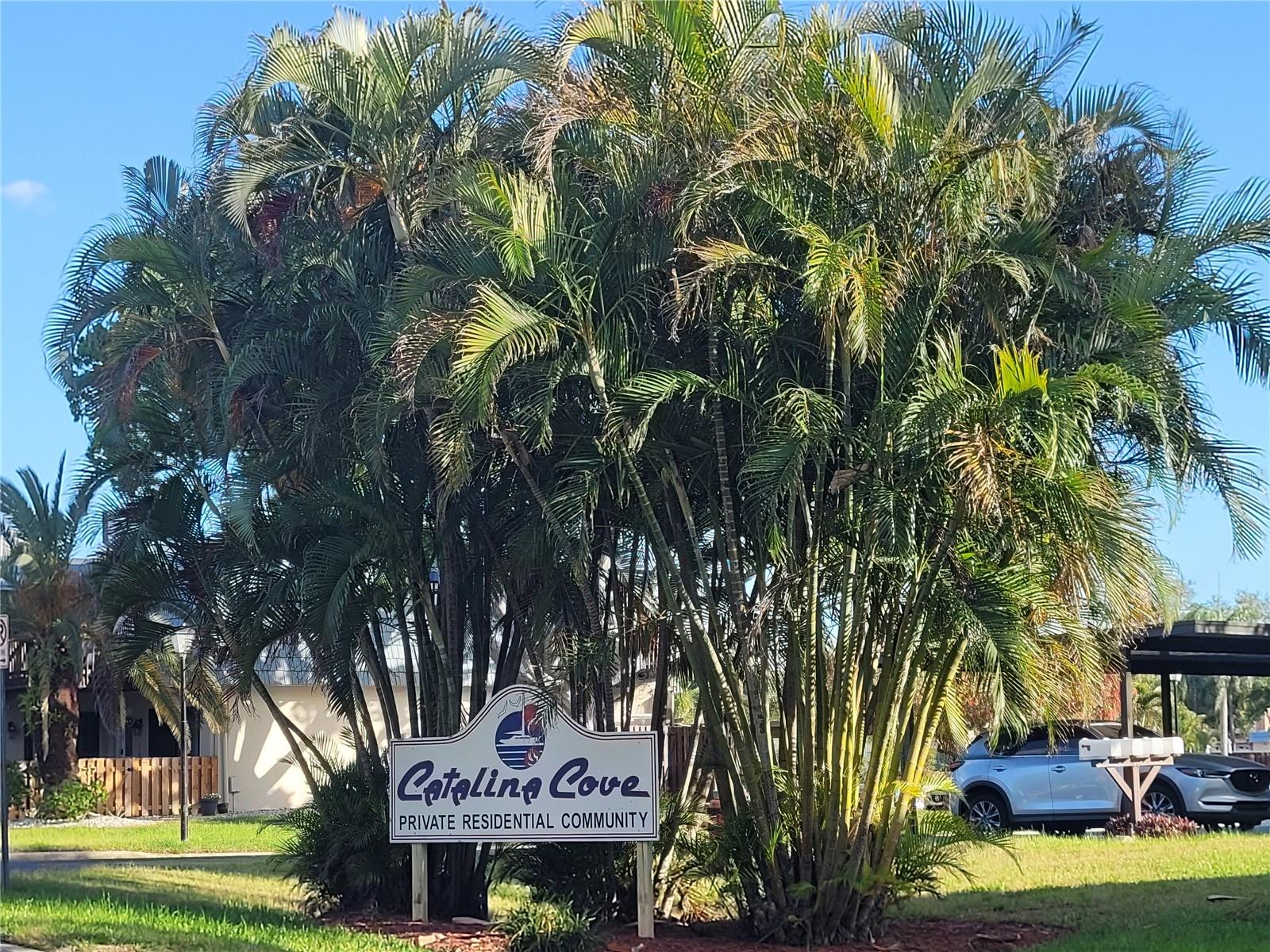 14521 CATALINA CIR, SEMINOLE, FL, 33776