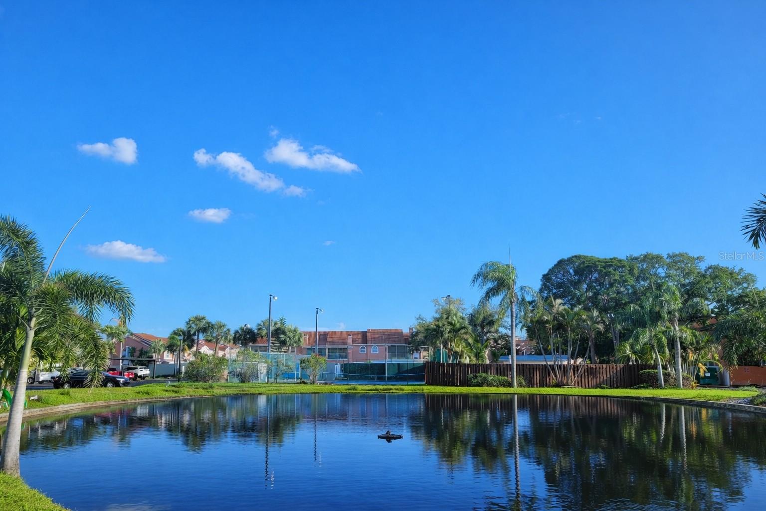 14521 CATALINA CIR, SEMINOLE, FL, 33776