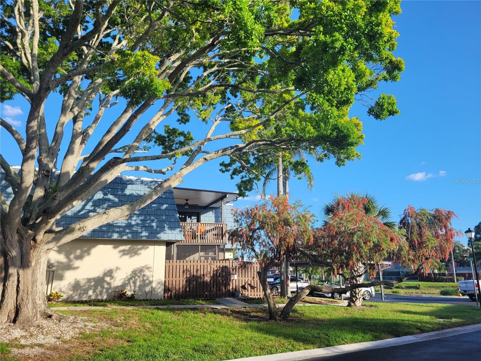 14521 CATALINA CIR, SEMINOLE, FL, 33776