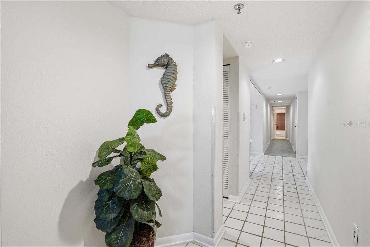 5611 GULF OF MEXICO DR #3, LONGBOAT KEY, FL, 34228