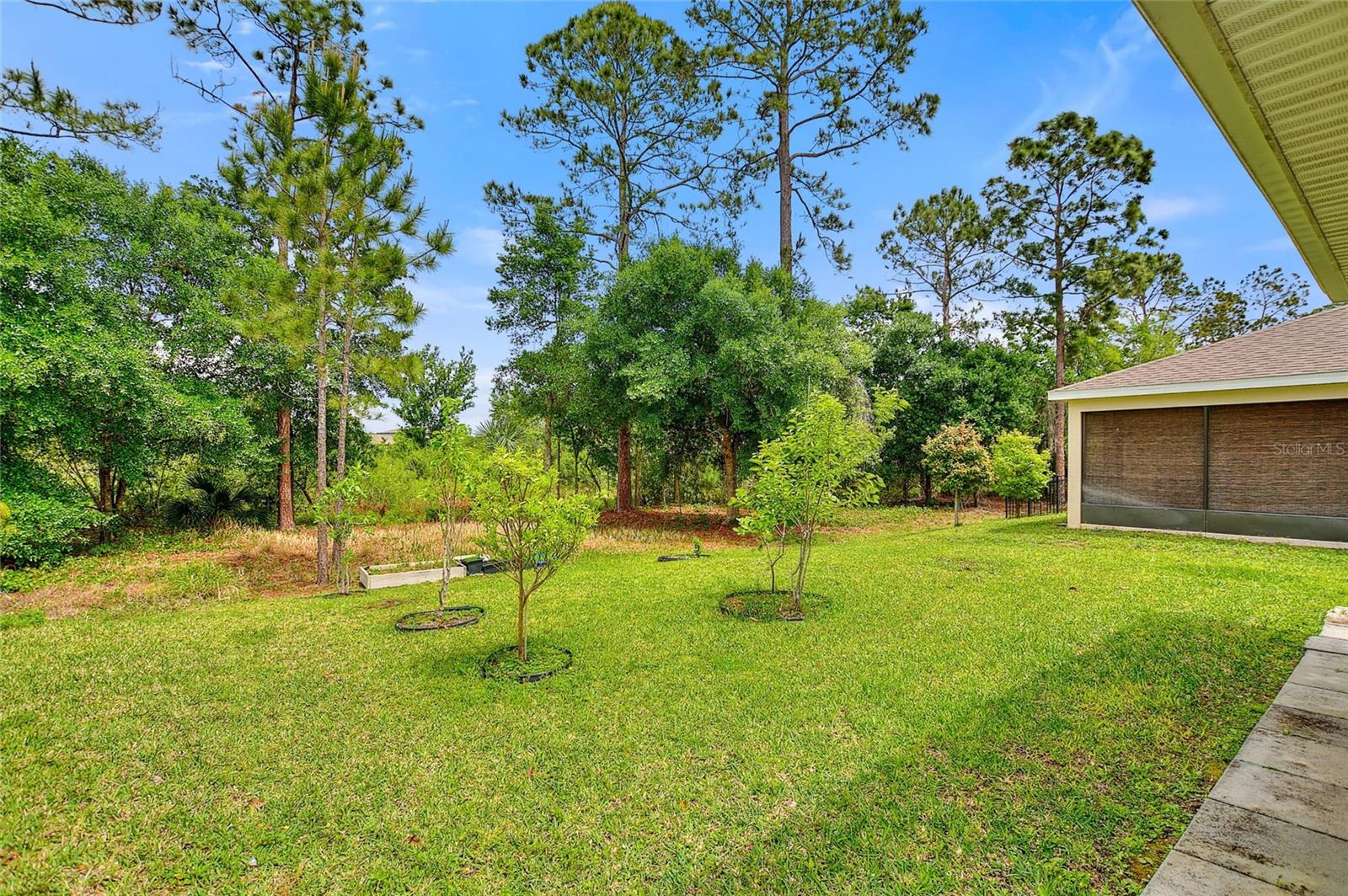 17197 CAGAN CROSSINGS BLVD, CLERMONT, FL, 34714