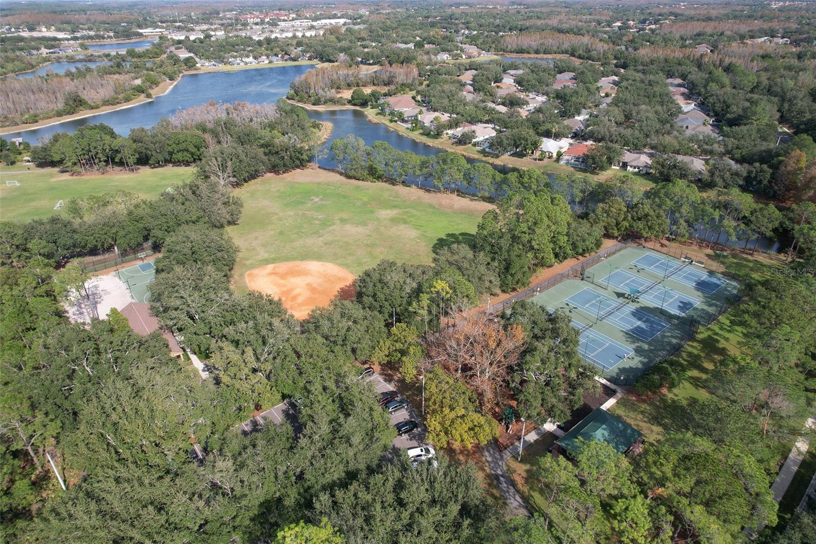 9205 CELEBRATION CT, TAMPA, FL, 33647