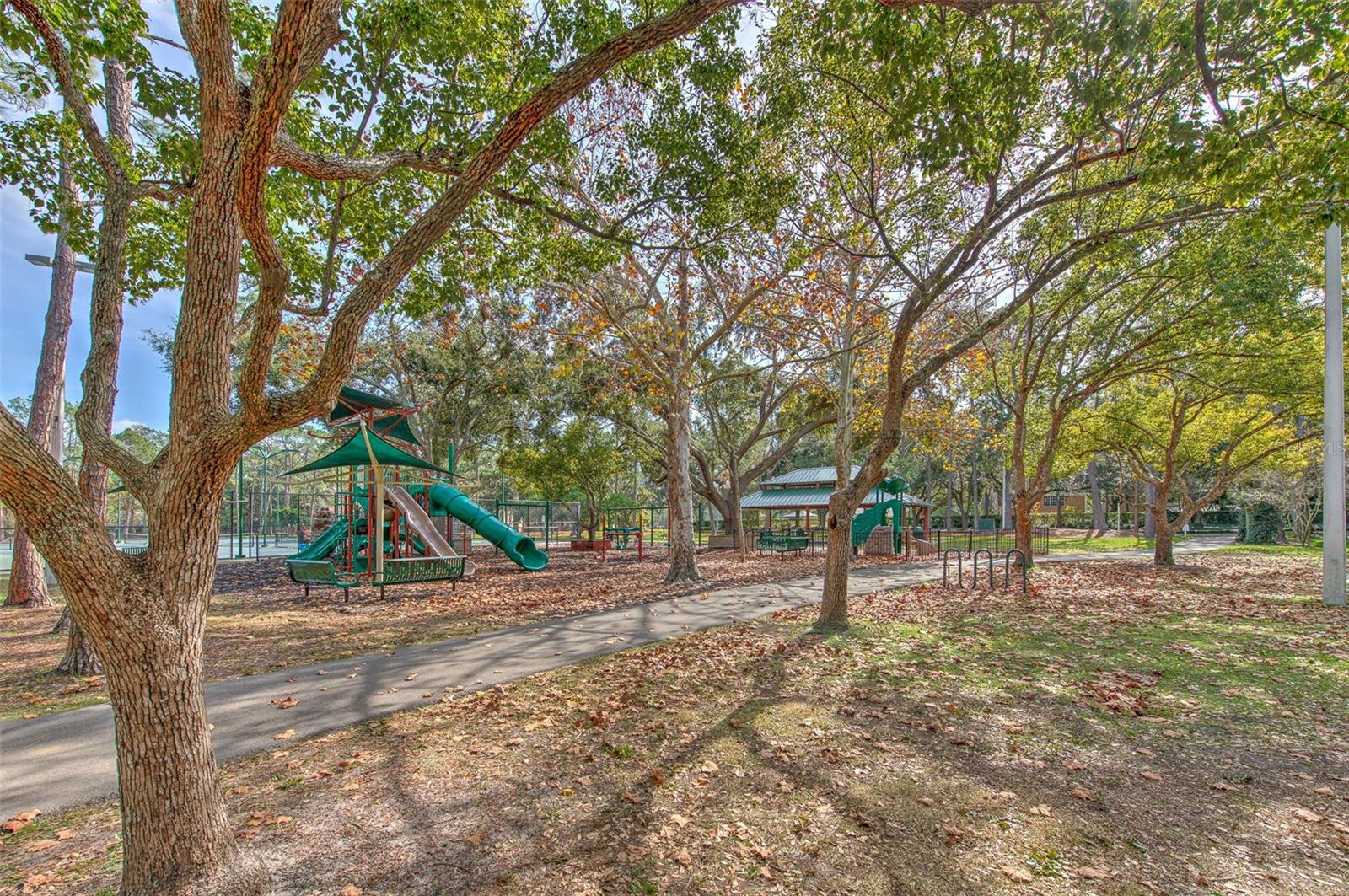 9205 CELEBRATION CT, TAMPA, FL, 33647