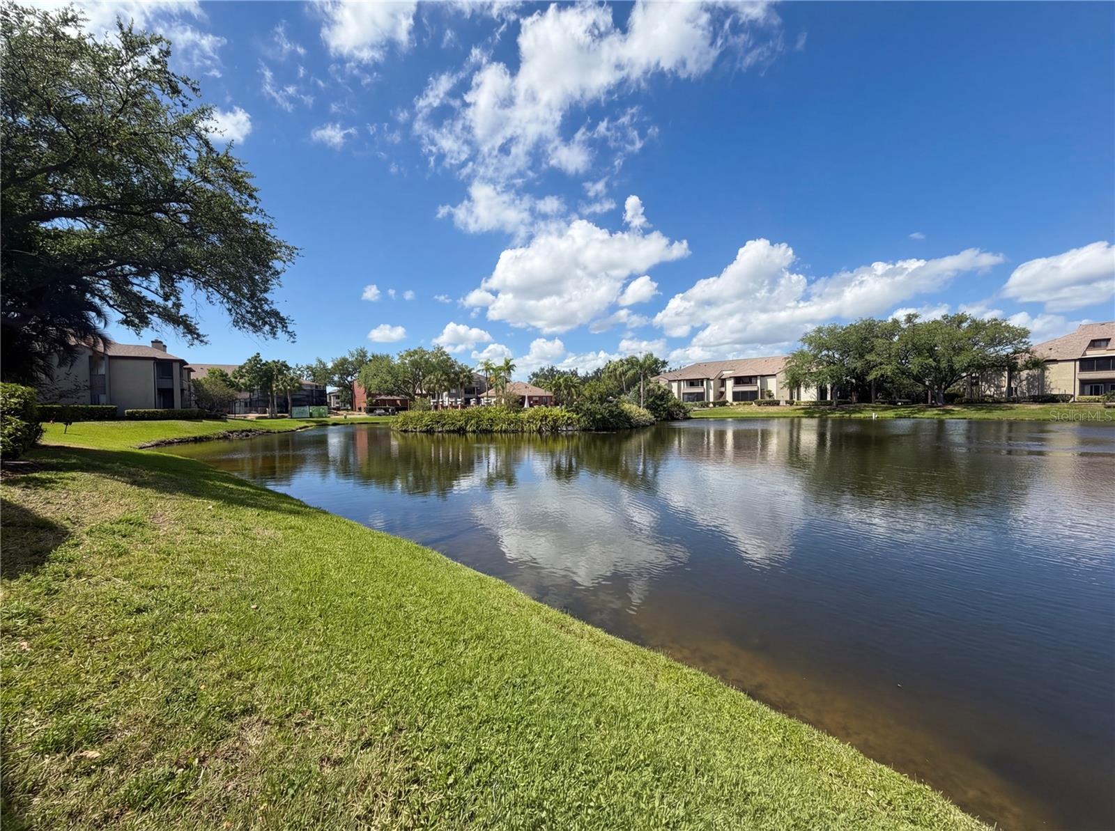 10265 GANDY BLVD N #1008, ST PETERSBURG, FL, 33702