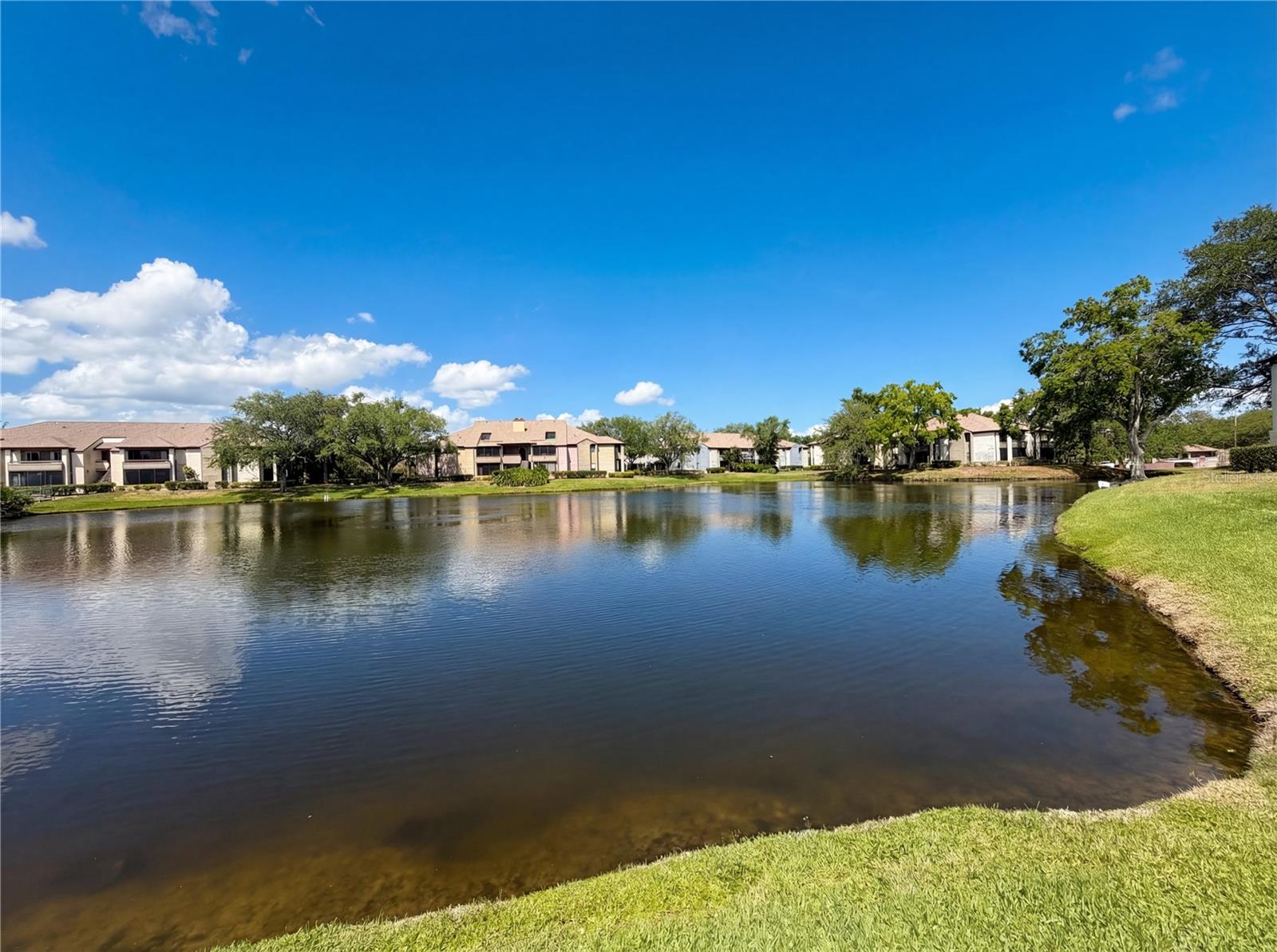 10265 GANDY BLVD N #1008, ST PETERSBURG, FL, 33702