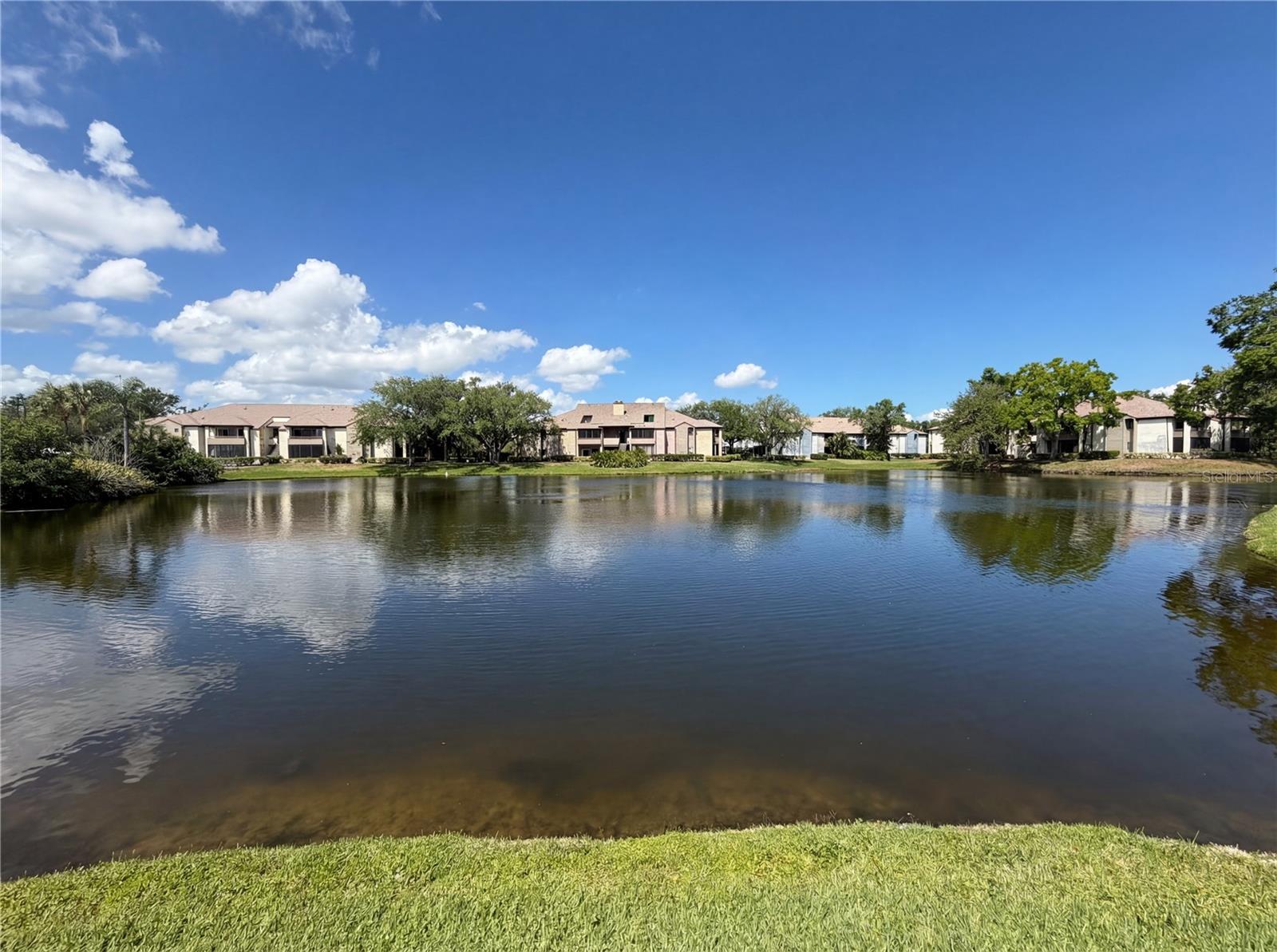 10265 GANDY BLVD N #1008, ST PETERSBURG, FL, 33702