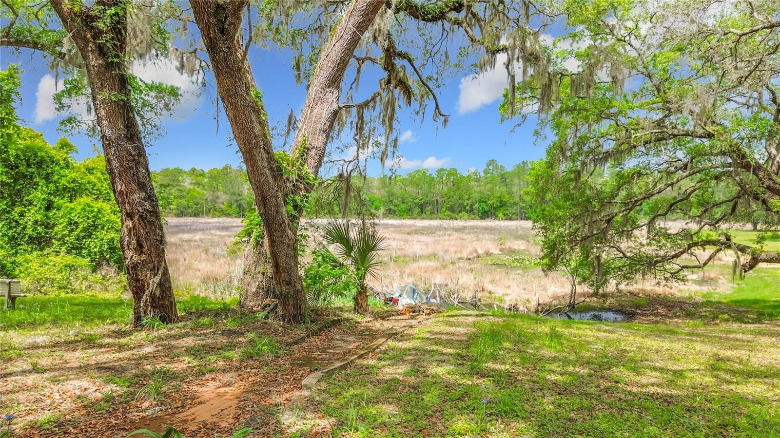 15415 SE 64TH PL, OCKLAWAHA, FL, 32179