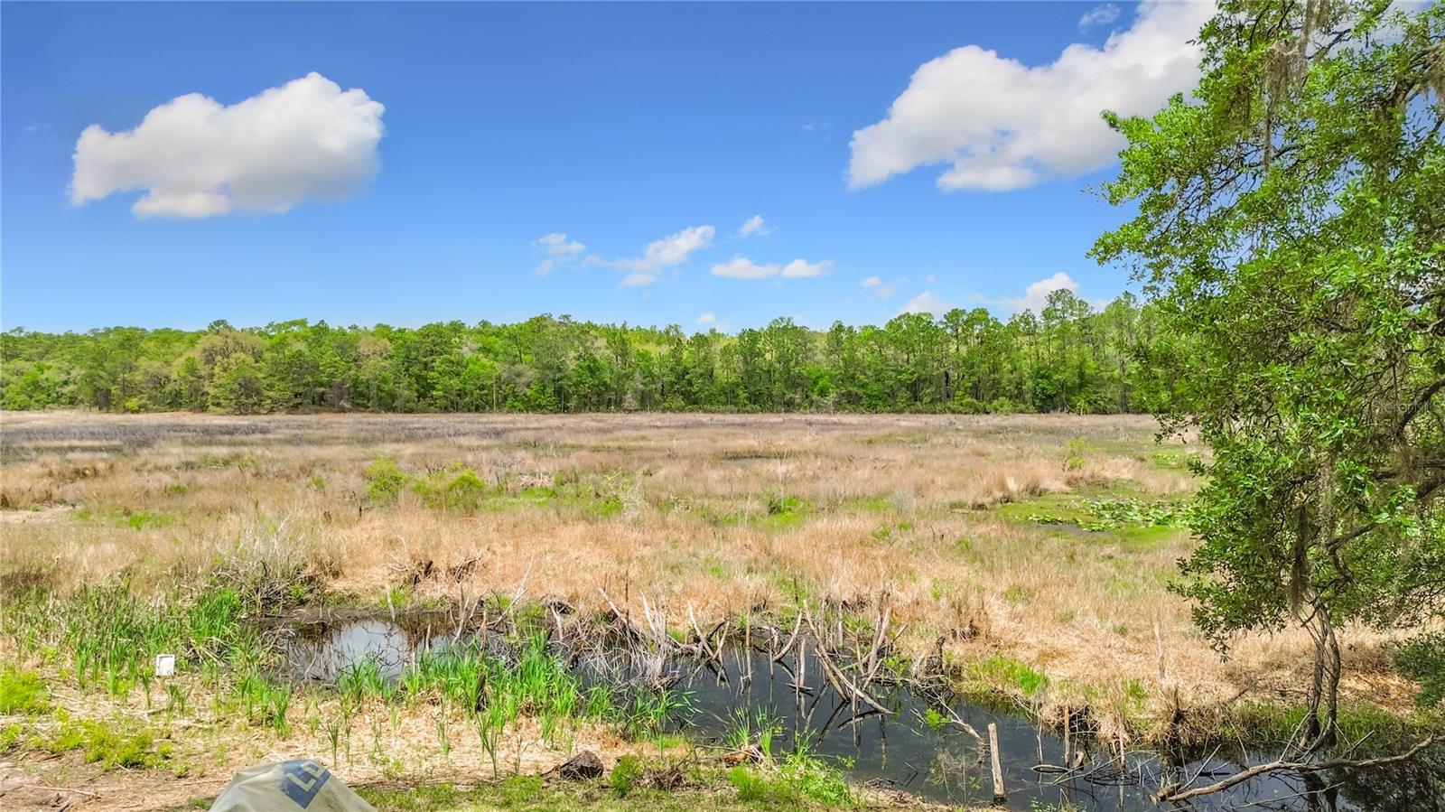 15415 SE 64TH PL, OCKLAWAHA, FL, 32179