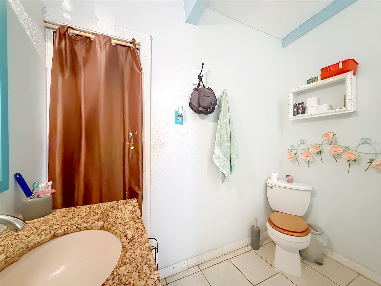 15415 SE 64TH PL, OCKLAWAHA, FL, 32179