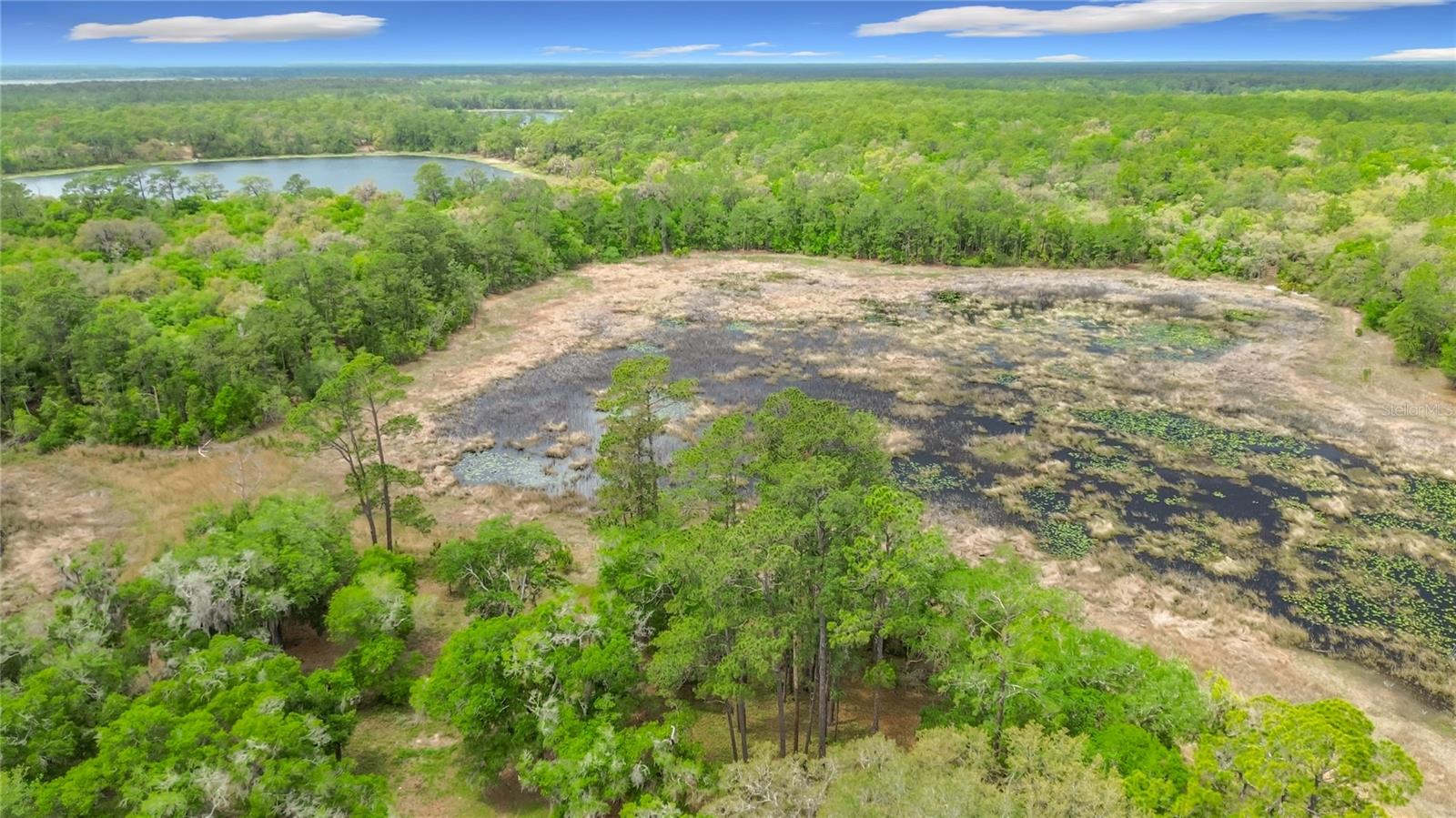 15415 SE 64TH PL, OCKLAWAHA, FL, 32179