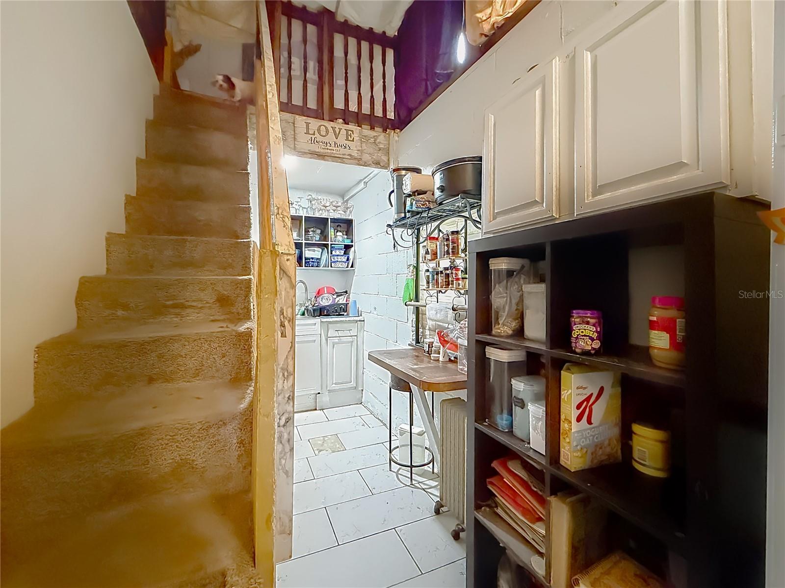 15415 SE 64TH PL, OCKLAWAHA, FL, 32179