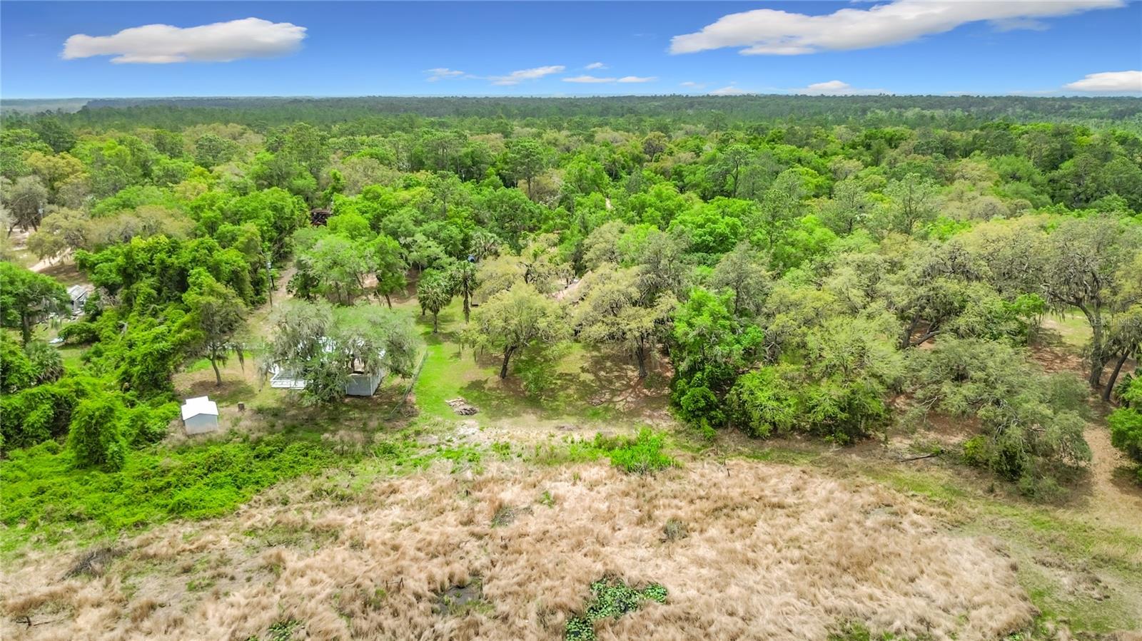 15415 SE 64TH PL, OCKLAWAHA, FL, 32179