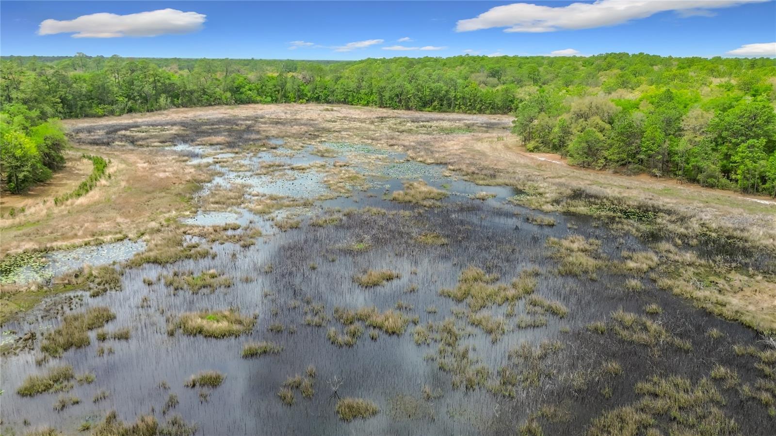 15415 SE 64TH PL, OCKLAWAHA, FL, 32179