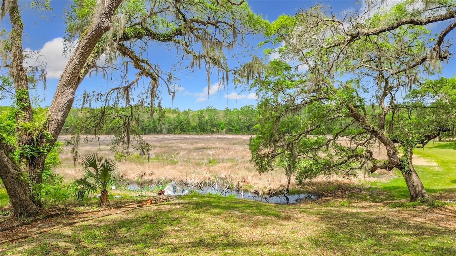 15415 SE 64TH PL, OCKLAWAHA, FL, 32179