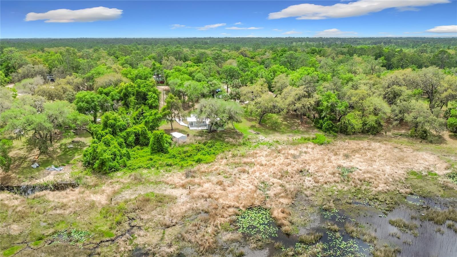 15415 SE 64TH PL, OCKLAWAHA, FL, 32179