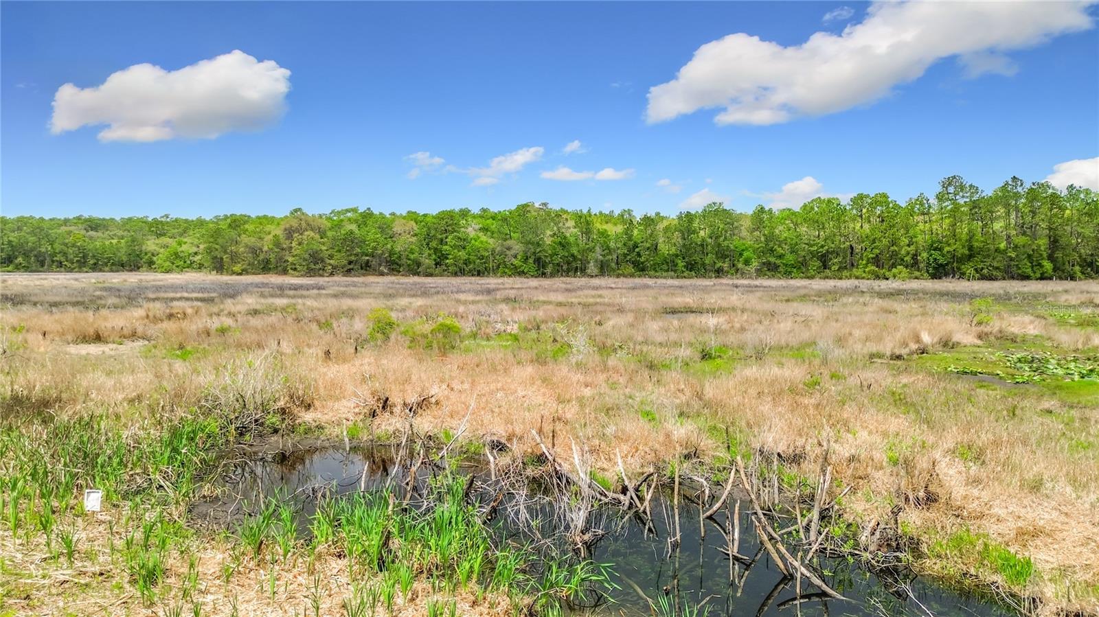 15415 SE 64TH PL, OCKLAWAHA, FL, 32179