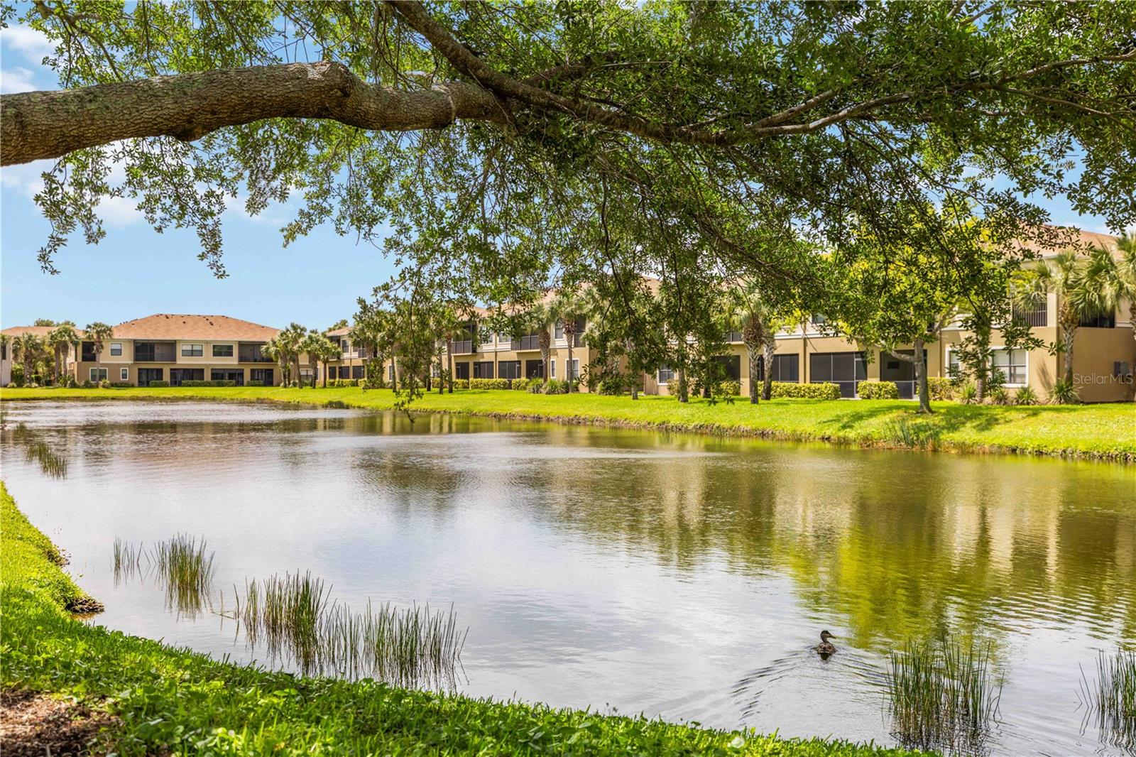 4026 OVERTURE CIR #4026, BRADENTON, FL, 34209