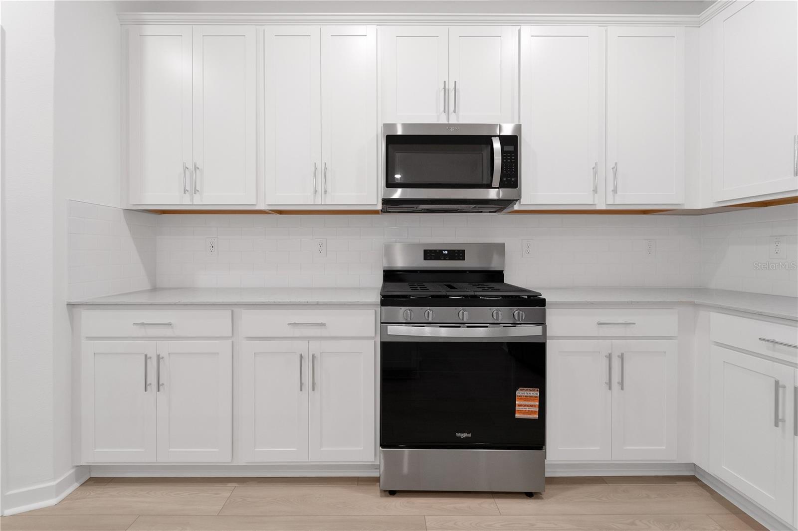 6573 ASBURY BARNES LN, WESLEY CHAPEL, FL, 33545