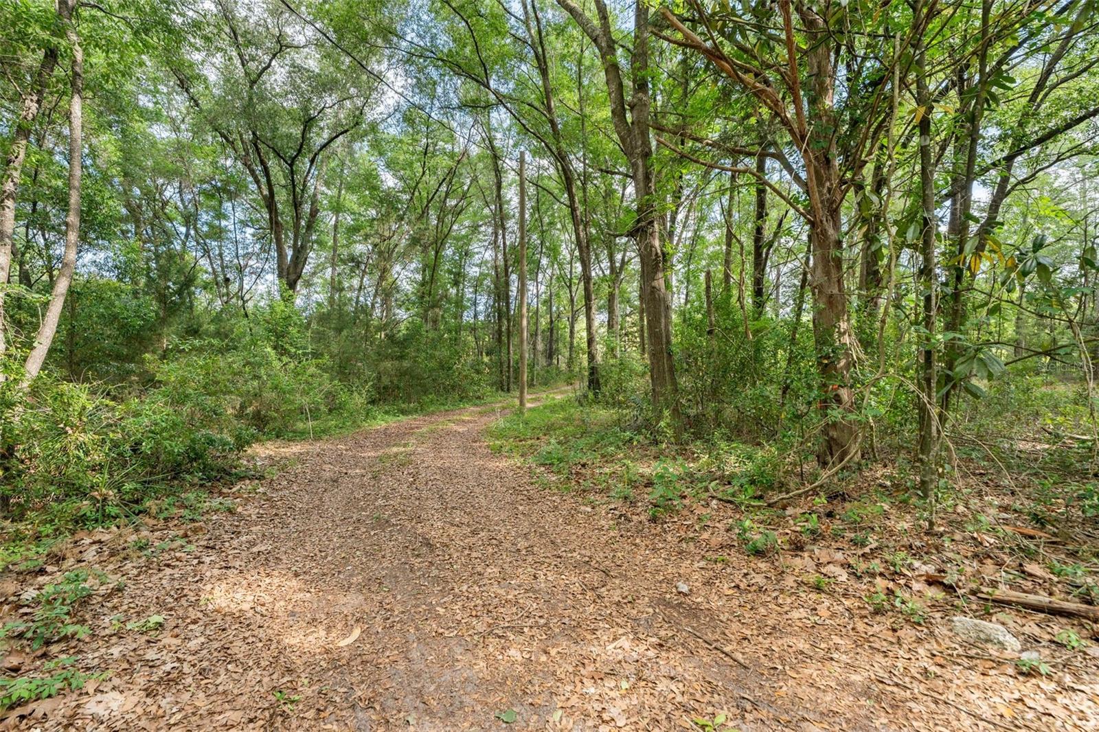 3100 NW 30TH ST, BELL, FL, 32619