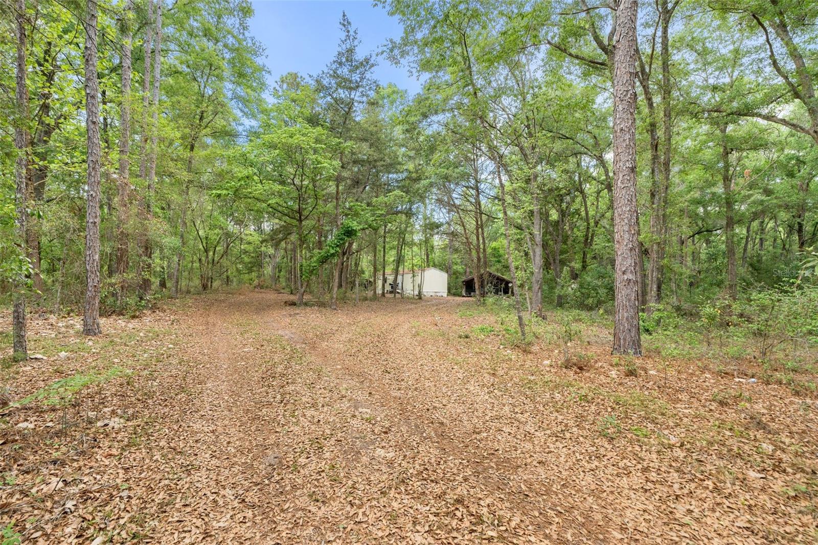 3100 NW 30TH ST, BELL, FL, 32619