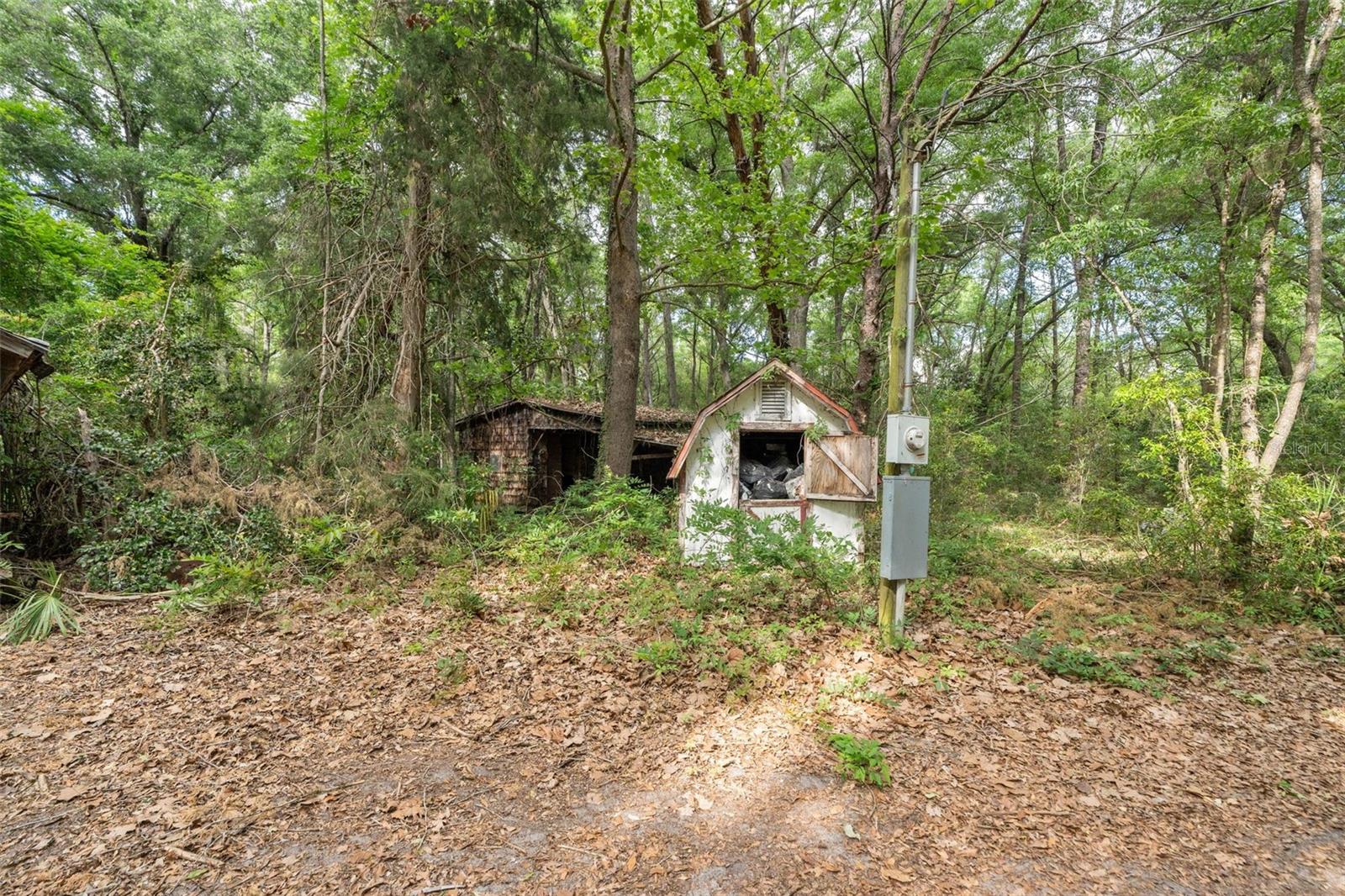 3100 NW 30TH ST, BELL, FL, 32619