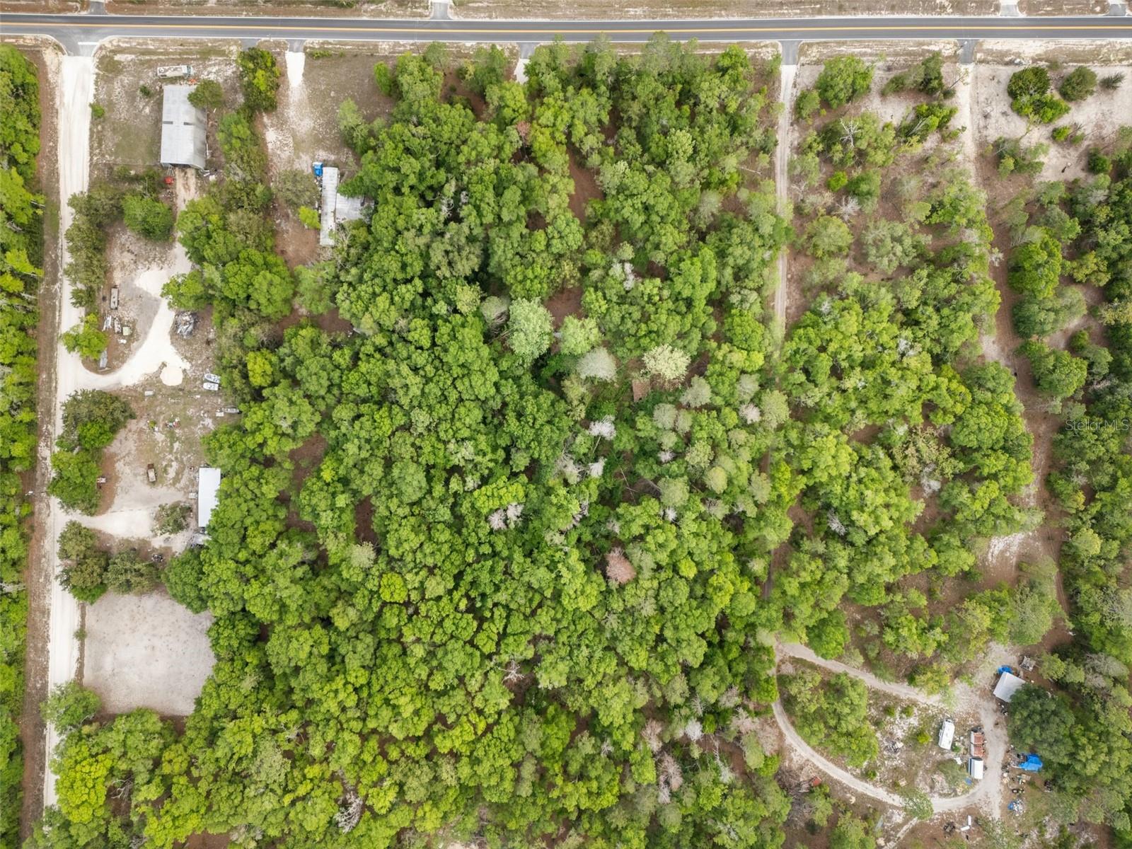 3100 NW 30TH ST, BELL, FL, 32619