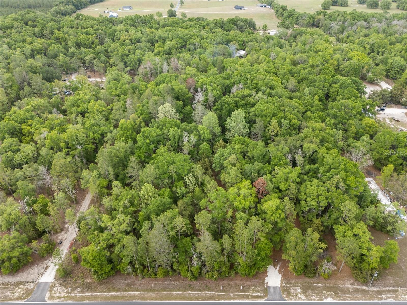 3100 NW 30TH ST, BELL, FL, 32619