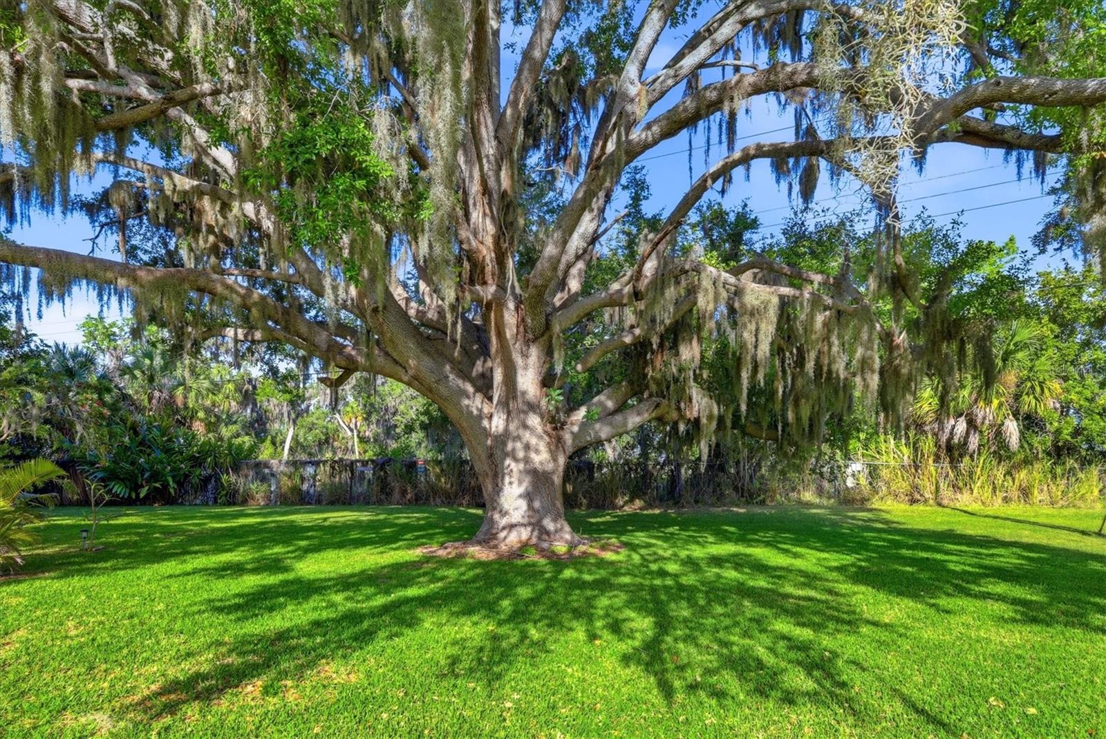 1419 41ST AVE E, ELLENTON, FL, 34222