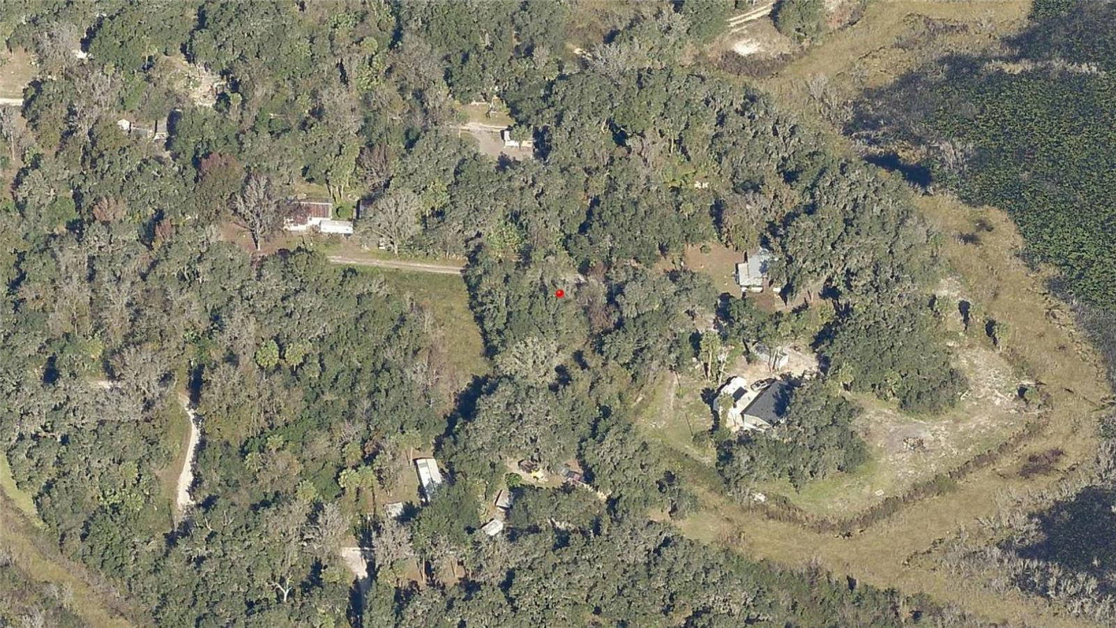 NE 155TH LN, CITRA, FL, 32113