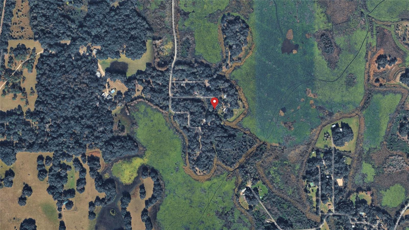 NE 155TH LN, CITRA, FL, 32113