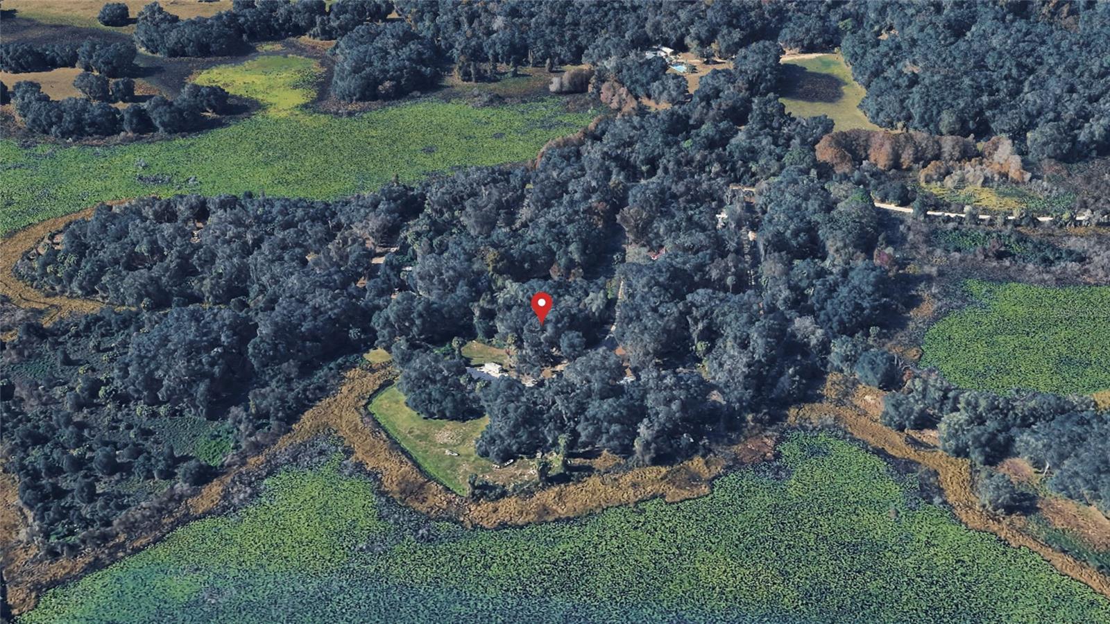 NE 155TH LN, CITRA, FL, 32113