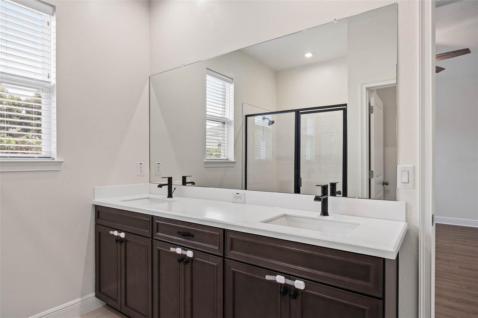 2485 MORNINGLIGHT DR, LUTZ, FL, 33558