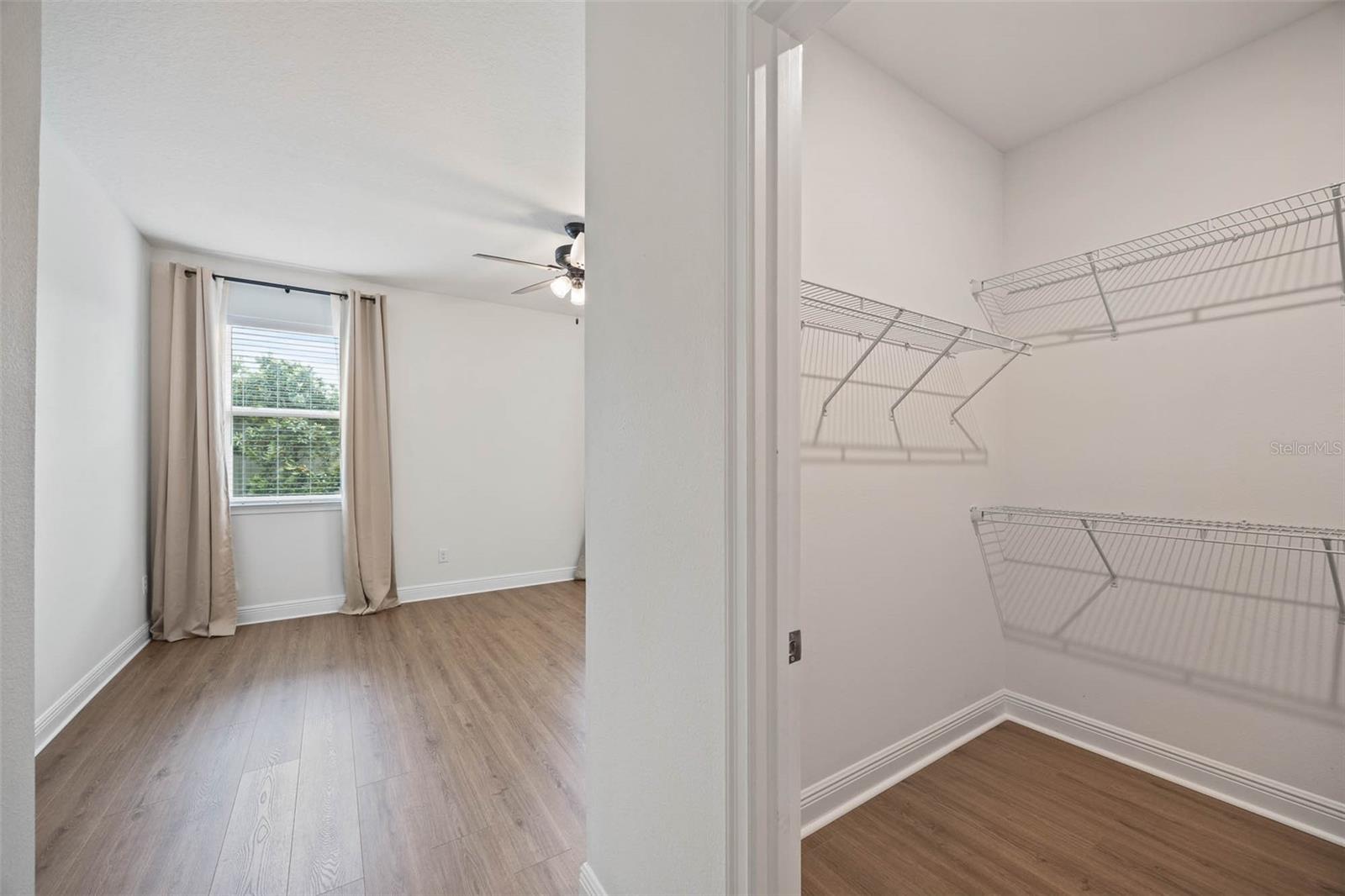 2485 MORNINGLIGHT DR, LUTZ, FL, 33558