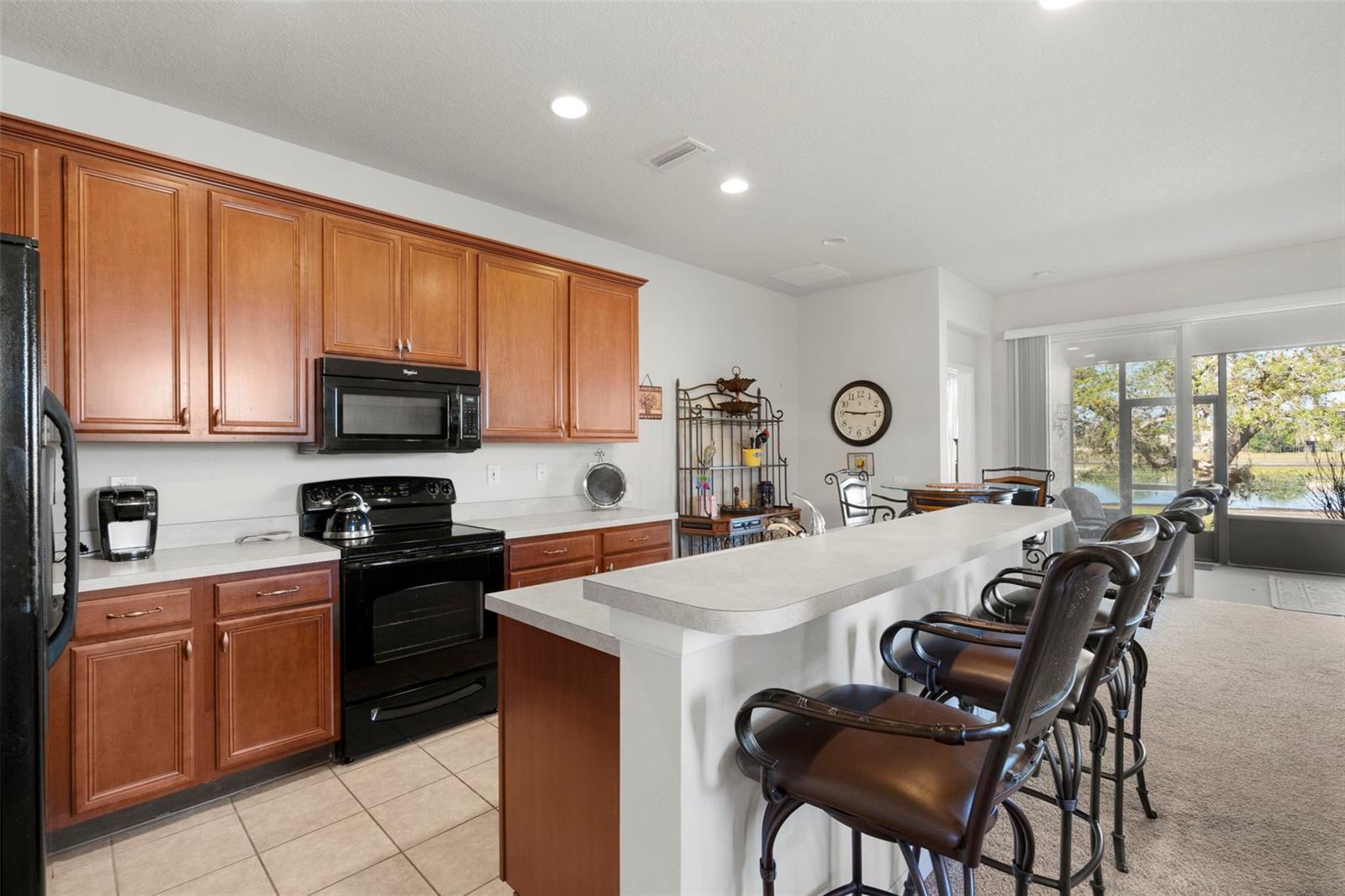 13723 EASTFORK LN, HUDSON, FL, 34669