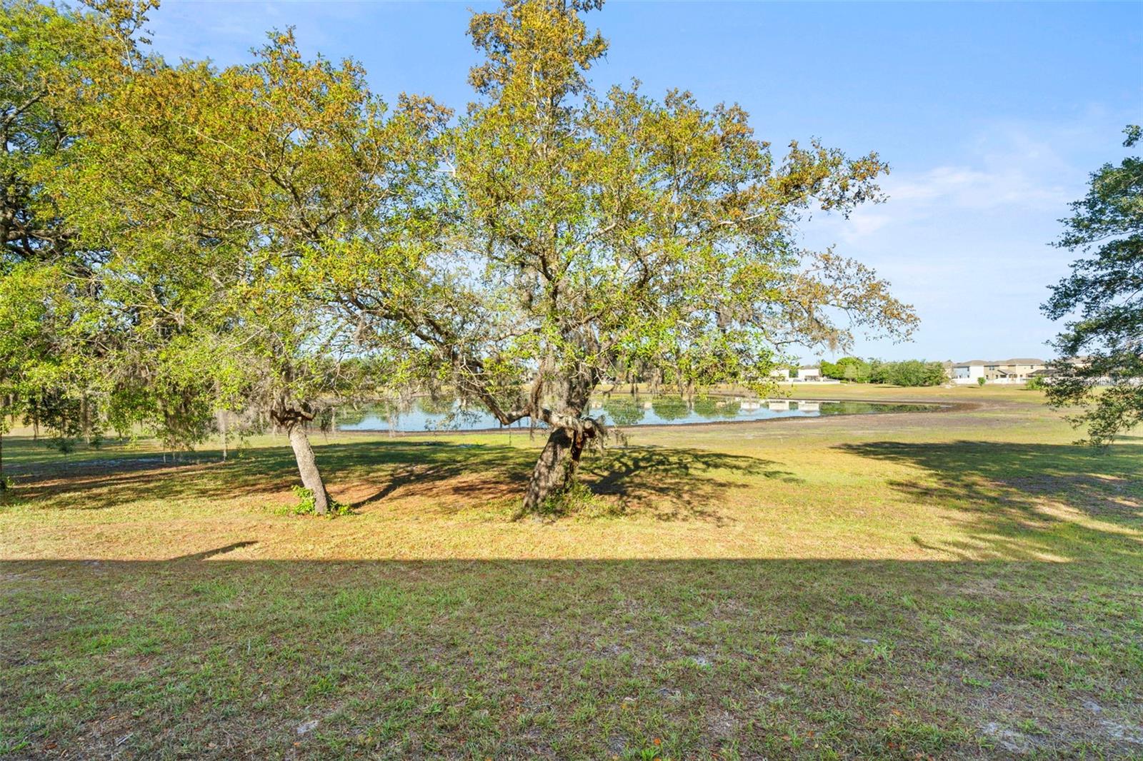 13723 EASTFORK LN, HUDSON, FL, 34669