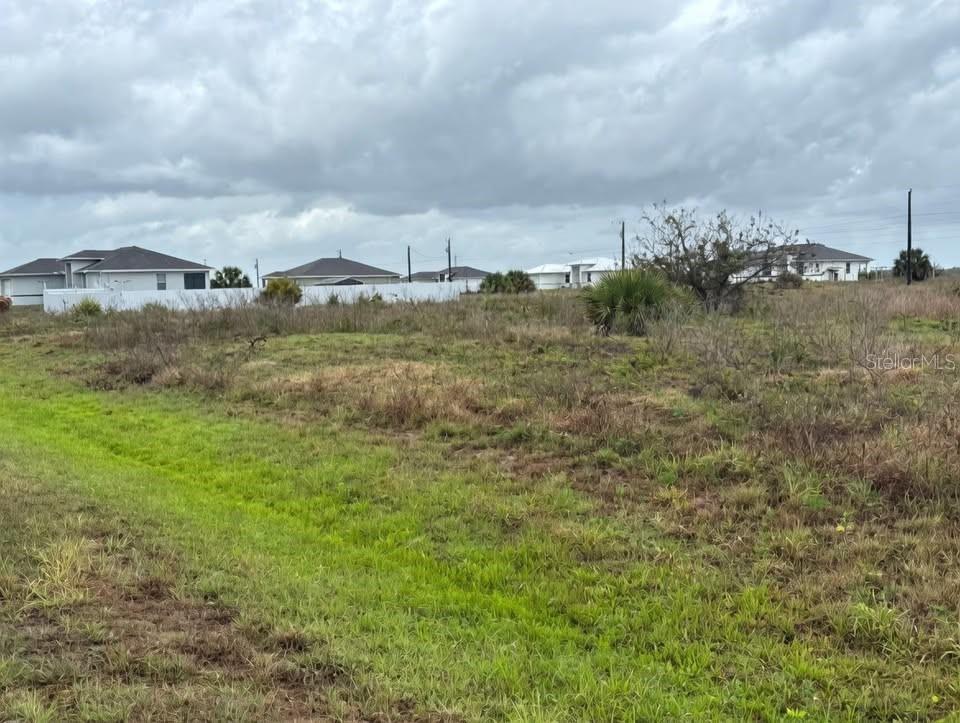 503 BRAELYN ST, LABELLE, FL, 33935