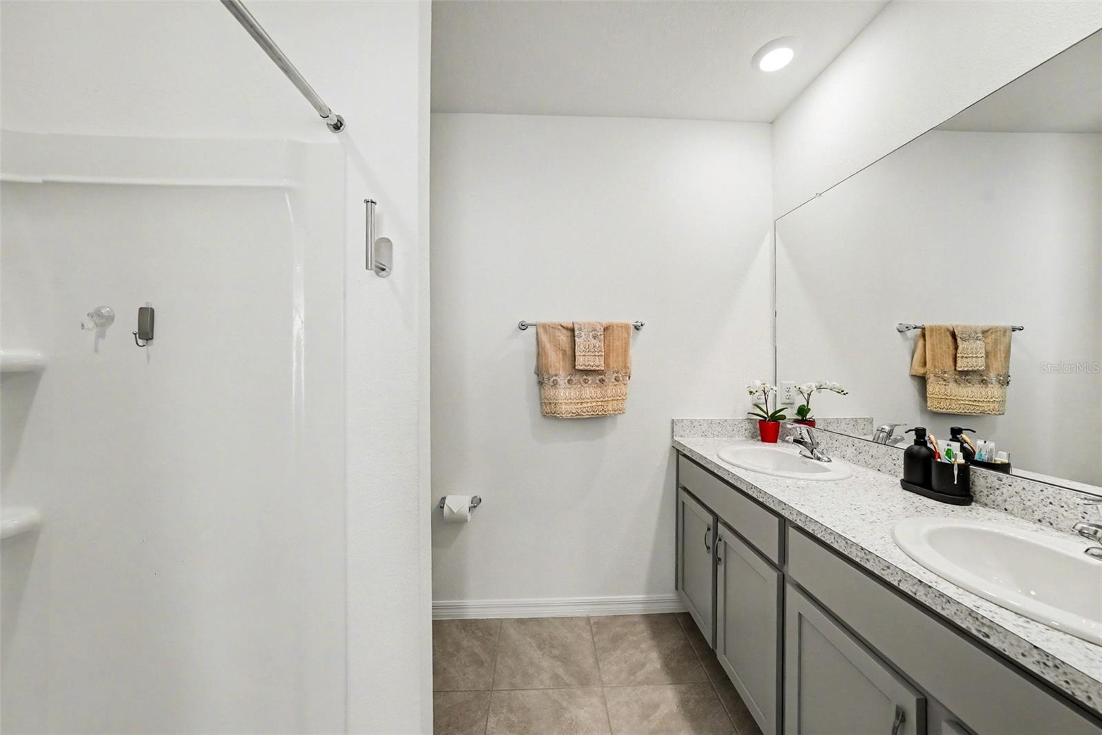 6298 WANDERING WILLOW DR, WESLEY CHAPEL, FL, 33545