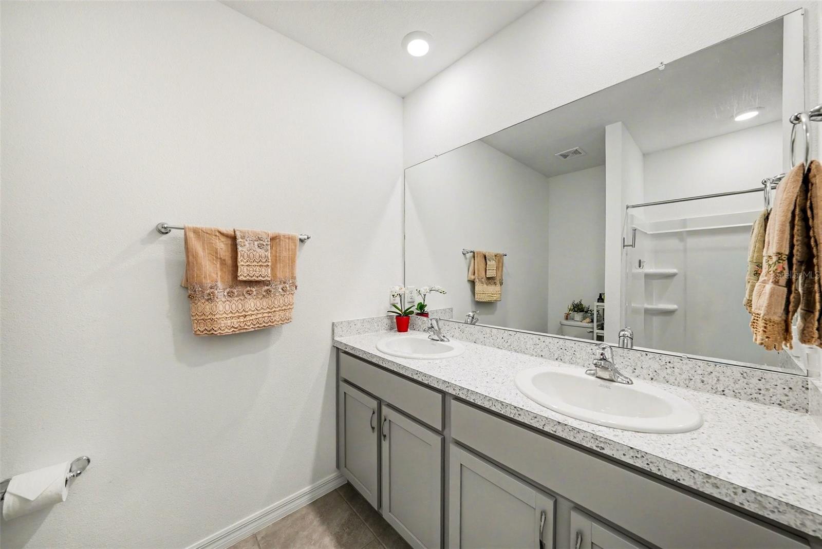 6298 WANDERING WILLOW DR, WESLEY CHAPEL, FL, 33545