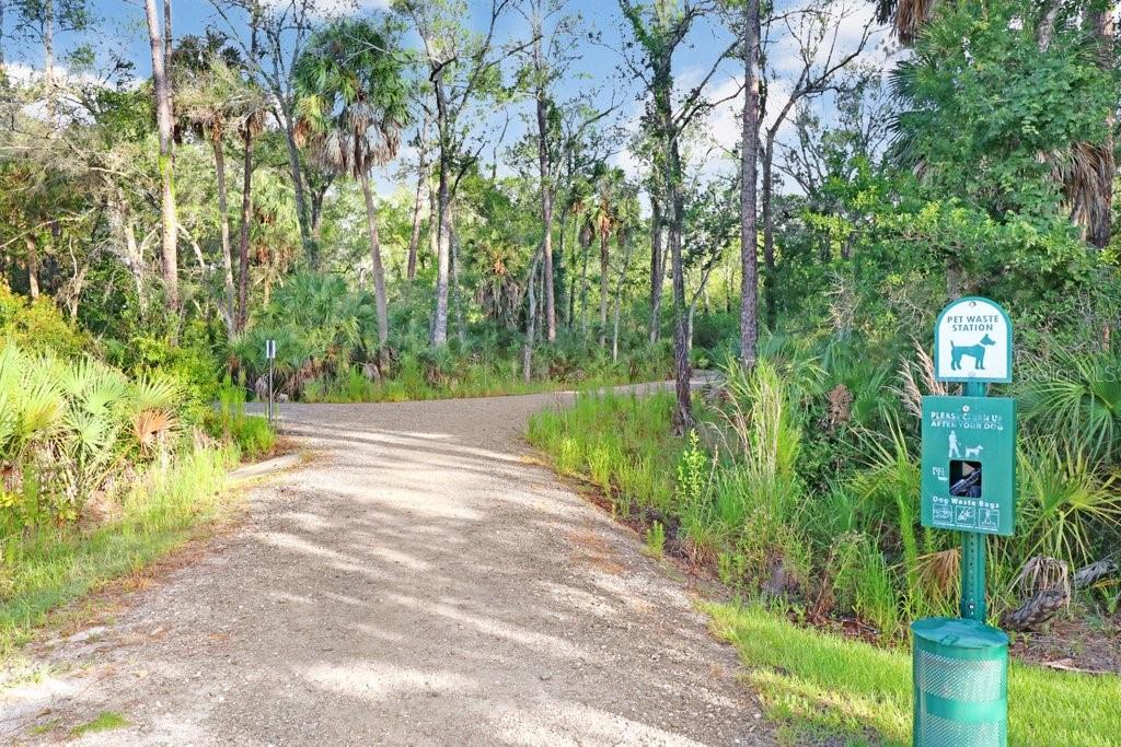 16247 NOVEMBER RAIN CT, LAND O LAKES, FL, 34638