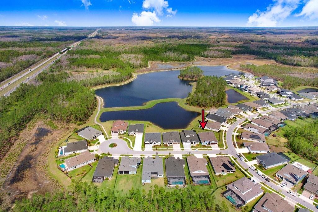 16247 NOVEMBER RAIN CT, LAND O LAKES, FL, 34638