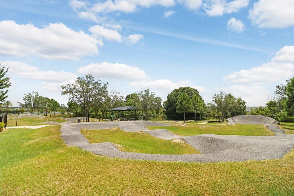 16247 NOVEMBER RAIN CT, LAND O LAKES, FL, 34638